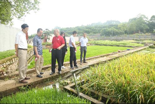 農業農村部科技發展中心調研祁陽站 聚焦前沿，共促農業技術創新發展